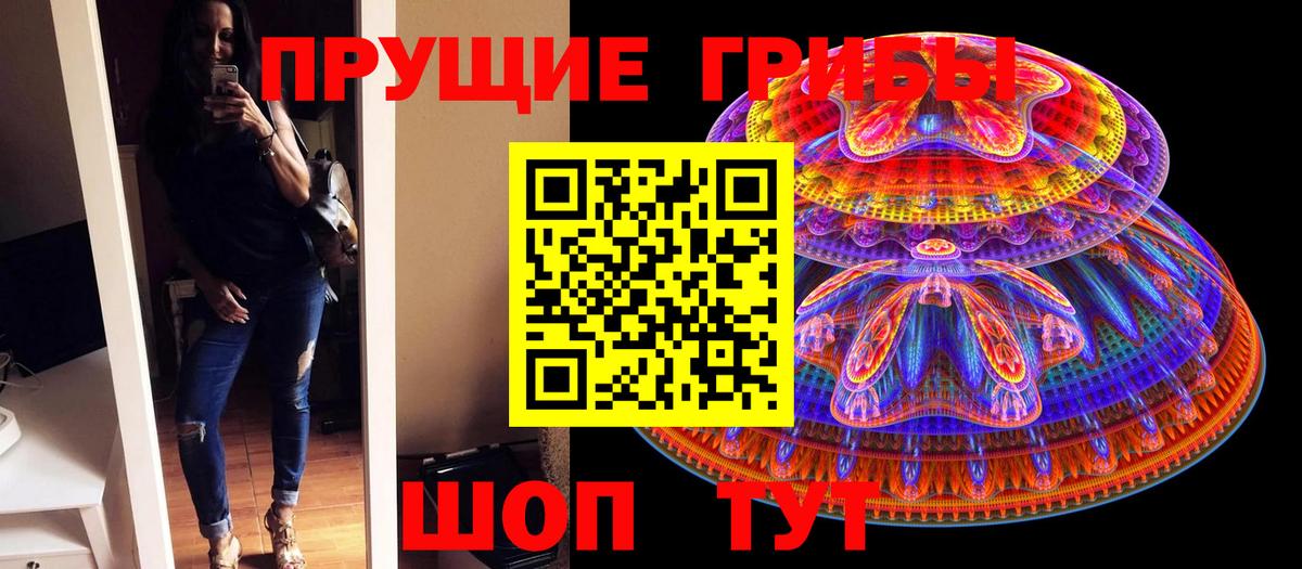 Гусь-Хрустальный  купить наркоту  Галлюциногенные грибы прущие грибы  Вход с VPN  Псилоцибиновые грибы ЛСД 